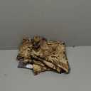 SITKA Gear Women's Cadence Hunting Pants (36, Waterfowl)