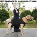 Coodeo Dog Lift Harness, Pet Support & Rehabilitation Sling Lift Adjustable Padded Breathable Straps for Old, Disabled, Joint Injuries, Arthritis, Loss of Stability Dogs Walk (Black, M)