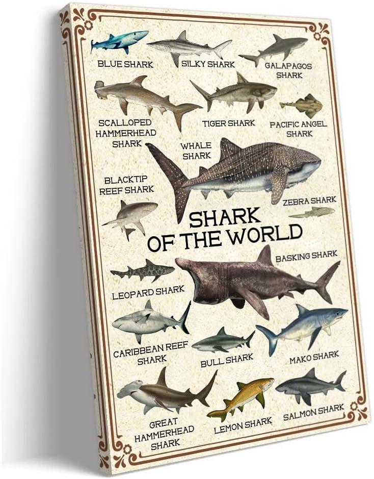 Shark Wall Art Framed Prints Educational Poster Painting Wall Decor Vintage Shark of the World Canvas Artwork 08x12 inches