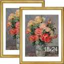 Vittanly 18x24 Picture Frames Set of 2, Ornate Vintage Photo Frame for Wall Mount, Display 16x20 Pictures with Mat or 18x24 without Mat, Rustic Gold