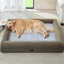 WNPETHOME XXXL Big Dog Bed, Washable Dog Couch with Removable Waterproof Cover, Orthopedic Large Pet Sofa Bed with Bolster Sides for Sleeping (Dark Green)