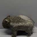Hansa Wombat Plush