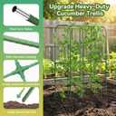 62" Tall Cucumber Trellis for Raised Bed, Garden Trellis for Climbing Plants Outdoor, U-Shape Metal Arch Vegetables Trellis Plant Support for Zucchini Squash Vines