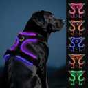 Joytale Light Up Dog Harness, No Pull Dog Harness USB Rechargeable for Night Walking with 3 Lightning Modes and Soft Handle, Adjustable Reflective Lighted Safety Vest,Black-Purple, L