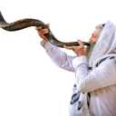Holy Voice Kosher Kudu Shofar Horn from Israel 39-41  Traditional Half Polished Yemenite Shofar Easy Blowing Ancient Jewish Musical Instrument