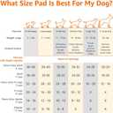 Amazon Basics X-Large Heavy Duty Absorbent Puppy Potty Pads, Leak-Proof, Quick-Dry, Super Absorbent Gel Technology for Dog Training, 28 x 34 Inches, Blue & White, Pack of 50
