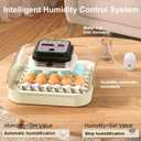 35 x 35 Chicken Egg Incubators, with Automatic Egg Turning and Humidity Control