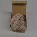 Kevin Textile 12x20 Inch Pillow Cover 1 Pack Boho Decorative Soft Striped Corduroy Lumbar Farmhouse Color Accent Rectangle Cushion Case for Living Room Couch Sofa Bed, Light Brown