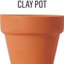 FolkArt, Clay Pot Assorted Acrylic 2 fl oz / 59ml Terra Cotta Paint For Easy To Apply DIY Crafts, Art Supplies With A Textured Finish, 7019
