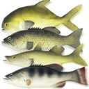 4 Pack Fake Fish, 11 Inch Artificial Fish Models Simulated Pretend Realistic Fish Lifelike Sea Fish for Party Display, Kitchen Decor, Photography Props, 4 Types