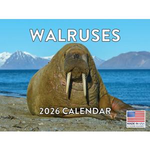 Walrus Calendar 2026 Monthly Wall Calender 12 Month | American Made In The USA