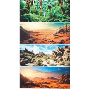 Breling 4 Pcs 48 x 24 Inch Reptile Habitat Background with Nano Glue Gobi Sun Cactus Stone and Green Tree Fern Stream Terrarium Background Polyester Durable Aquarium Accessories