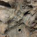 majoywoo Natural Coral Driftwood for Aquarium Decor Fish Tank Decorations, Assorted Driftwood Branch 6-10" 3 Pcs, Reptile Decor