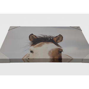 DI JLA 28X22 ITS In The Eyes CVS Art