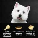Cesar Mini-Pouch Wet Dog Food, Filet and Chicken, 1.76 oz, 20 Count, 2-Pack (EXP 12/21/27)