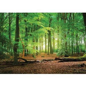 SJOLOON 9X6ft Spring Green Forest Thin Vinyl Photo Backdrops Camping Themed Baby Shower Photography Background Studio Props 10516