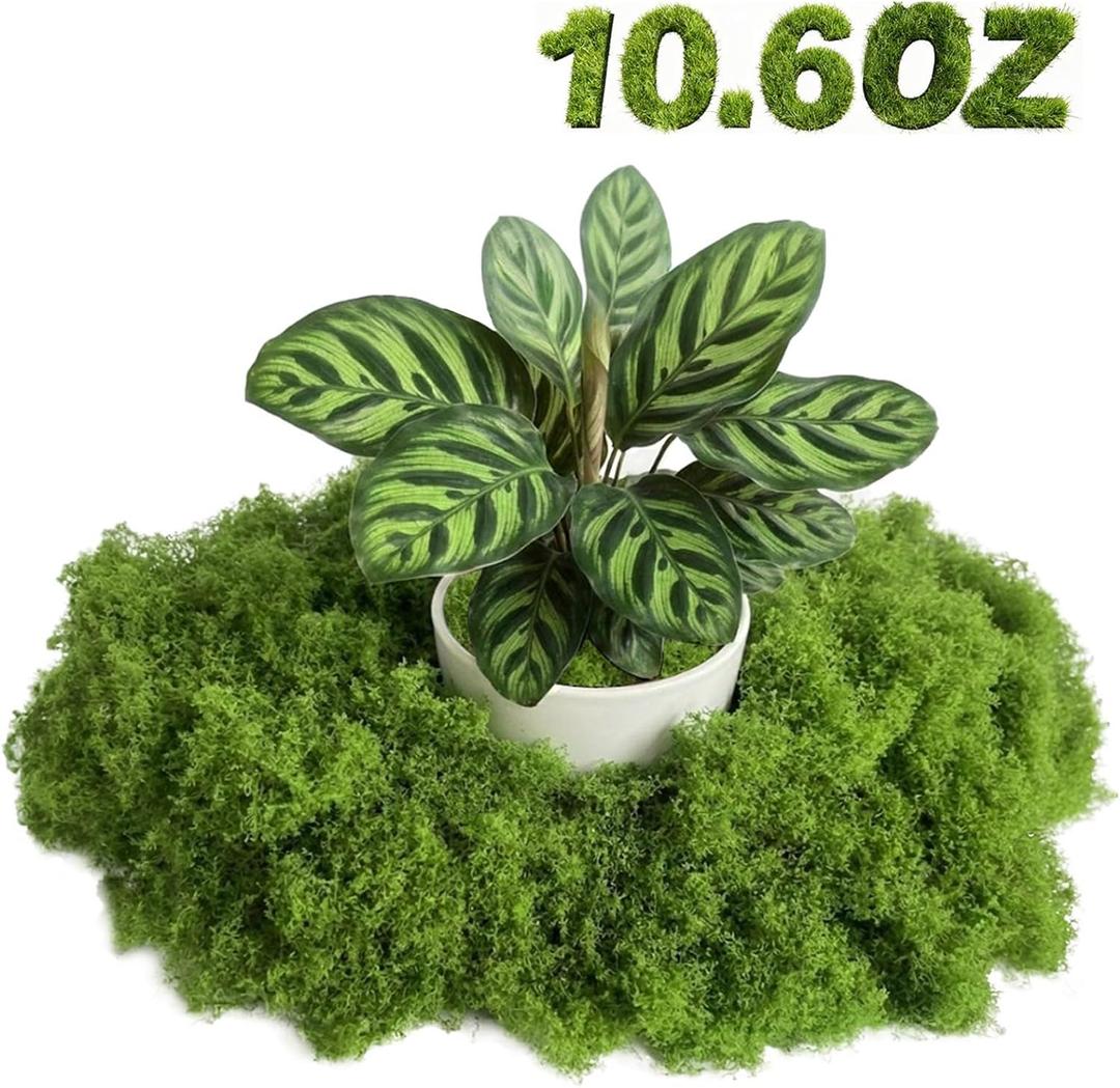 Fake Green Moss - Artificial Moss for Plants Indoor, Faux for Crafts, DIY Fairy Garden Decor, Potted Plant Wedding Centerpieces, Table & Wall Decoration (10.6 OZ)