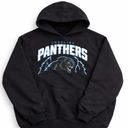 Vintage Panthers Carolina American Football Hoodie, M