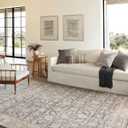 Loloi Amber Lewis Alie Collection ALE-05 Charcoal/Beige 5'-3'' x 7'-9'', .13'' Pile Height, Area Rug