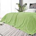 BEDELITE Fleece Blanket Queen Size  3D Ribbed Jacquard Soft and Warm Decorative Fuzzy Blankets  Cozy, Fluffy, Plush Lightweight Throw Blankets for Couch, Bed, Sofa(Sage Green, 90x90 inches) (Grass)