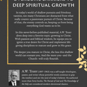 The Pursuit of Christian Maturity: Flourishing in the Grace and Knowledge of Christ (Book)