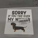 Funny Dog Lover New Home Gift Dachshund Sorry If You Trip Over My Wiener Signs Decor Wooden Box Block Plaque Wood Products Sign for Desk Table Tabletop Decor 5 x 5 inches Tub2507