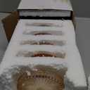 Modern Clear Coaster Set of 5- Glass Coasters for Drinks Crystal Coasters Round Cup Coasters Coffee Table Decor for Office, Kitchen, Bar, Dining Room, Living Room, Patio(Amber)