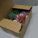 ZINHO Fake Succulent Plant Set 6 PCS Artificial Succulent Plants for Desk Realistic Faux Succulents in Plastic Pots Mini Colorful Succulent Decor for Bedroom Bathroom Office Shelf Decor (Mix)