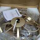 20" Gold Fandelier Ceiling Fans with Lights, Flower Chandelier Ceiling Fan