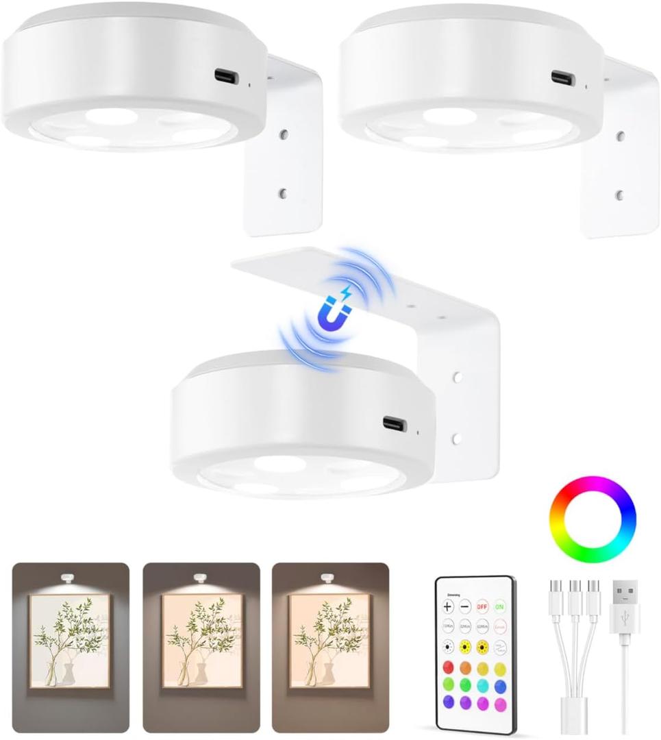 EZVALO Picture Lights for Wall, 2000mAh Rechargeable Battery Magnetic Poster Lights with 3 Color Temps & 12 RGB, Remote Dimmable Timer Painting Light, Wall Decor Light for Art Display, Frame (3 Pack)