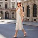 ZriEy Nude Clear Block Sandals Chunky Heels for Women 3.35 Inch Open Toe Adjustable Ankle Strap Pump Sandals for Weddings Parties Daily Wear Size 6.5