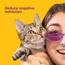 Comfort Zone Cat Calming Collar Value Pack: 4 30-Day Calming Collars for 120 Days of Calm; Cat Pheromones Help Anxiety, Reduce Stress, Urine Marking, Scratching; Indoor or Outdoor Cats; Long-Lasting