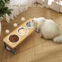 Elevated Cat Bowls with 3 Stainless Steel Bowls | 10 Tilted Anti-Vomiting Raised Cat Food Bowl for Small Cats and Puppies Pet Bowl with Stand