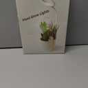 Grow Lights for Indoor Plants Full Spectrum, Clip On Plant Light for Small Plants, Plant Lamp with Adjustable Gooseneck, 4/8/12H Timer, 3 Color Adjustable & 10 Dimmable Brightness, Remote Control