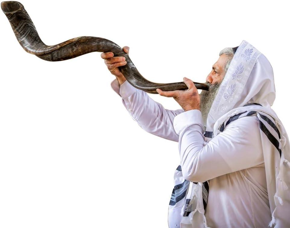 Holy Voice Kosher Kudu Shofar Horn from Israel 39-41  Traditional Half Polished Yemenite Shofar Easy Blowing Ancient Jewish Musical Instrument