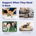 Dog Knee Brace for Back Legs 143-XLn4
