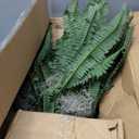 Nearly Natural Giant Boston Fern 36 in Wide Artificial Hanging Plant with Basket - Faux Greenery for Indoor Home Office Bedroom Decor, Realistic Leaves