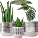 Docrin 3-Pack Ceramic Planters Set - 6.5"+5.3"+4" Dual-Tone Flower Pots with Drainage Holes, Modern Indoor Outdoor Planters for Succulents/Herbs/Large Plants, Home Office (Brownish Black & White)