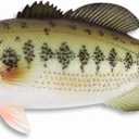 LX Handpainted Bass Statue Game Fish Replica 12" B
