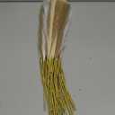 48 Pcs Pampas Grass Decor 21.7" Fluffy Faux Short White Brown Yellow Pampas Grass Artificial Small Pompas Grass Flower Vase Filler for Home Wedding Decoration