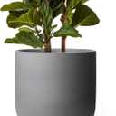 LE TAUCI 12 Inch Pots for Plants, Ceramic Large Planters for Indoor Plants, Indoor Plant Pots for Home Garden Patio Office, Big Planter Pots with Drainage Hole and Rubber Plug, Charcoal Gray