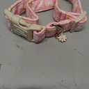 Pink Daisy Dog Collar,Unique Style Paws Dog Collar for Spring Summer,Soft Cotton Puppy Collars with Adjustable Buckle for Medium Gift for Puppy