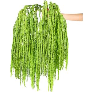 12 Pcs Green Spring Natural Dried Amaranthus Hanging Flowers Amaranthus Artificial Flowers for Wedding Arch Bouquet Floral Garland Wall Home Decoration (23 Inch)