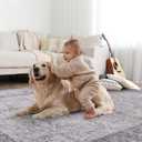 5x7 Area Rugs for Living Room, Bedroom - Machine Washable, Non-Slip Bedside Rug, Large Soft Floor Carpet for Office, Dining Room, Farmhouse and Home Decor, Rustic Vibes/Taupe