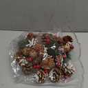 Pine Cone Battery Powered LED Lights - 2M, 20 Lights, Indoor/Outdoor, Winter Holiday Decor