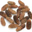 JOHOUSE 18PCS Large Spruce Pine Cones, Big Natural Pinecones for Christmas & Fall/Winter Decor, Vase/Bowl Filler, Wreath & Craft Ornaments