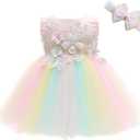 Weileenice Baby Girls Wedding Dress Rainbow Tulle 3D Embroidery Princess Tutu Dresses Size 24