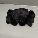 Spider Plush Toy - 8.66-inches Cute Black Jumping Spider Plush Stuffed Animal, Gift for Girls Boys,Party and Home Decoration.