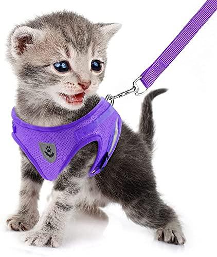 FEimaX Dog Harness and Leash Set for Walking, Soft Mesh Adjustable Easy Control Lightweight Cat Vest Harnesses with Reflective Strips, Escape Proof Small Dogs Cats Vests, Size Small