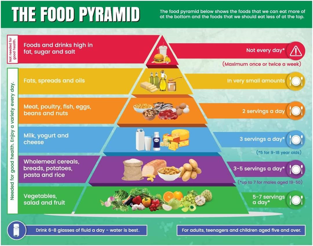 Above All Advertising Healthy Food Pyramid Chart | Diet and Nutrition Education Posters for Kids and Childrens | Food Stickers for Kids (11" x 17")